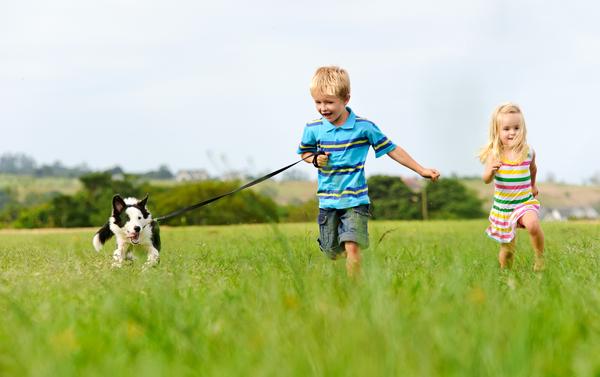 kids and dog