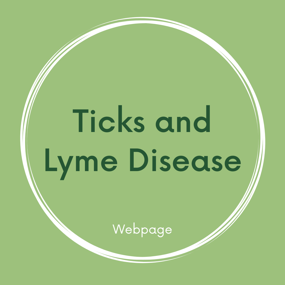 Ticks and Lyme Disease Link