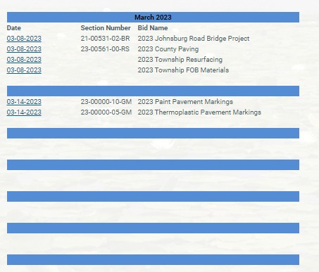 2023 Bid Project pages